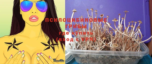 MESCALINE Нефтекумск