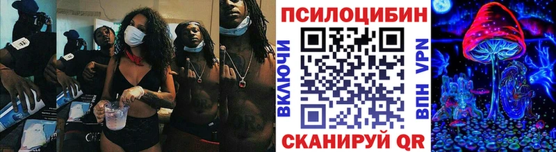где купить наркоту  Струнино  Псилоцибиновые грибы Psilocybine cubensis 